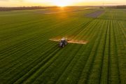 Fertilizer Bottleneck at Hormuz Raises Risk of Food Inflation and Worsening Global Hunger