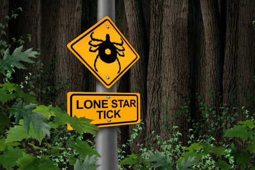 War on Meat: Has Tick-borne “Thought Experiment” Become Full-blown Biowarfare?