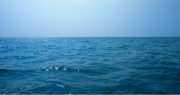 Mystery Solved of What Happened to Oil from Deepwater Horizon Spill