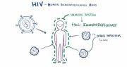 California Law Reduces to a Misdemeanor Intentional Transmission of HIV
