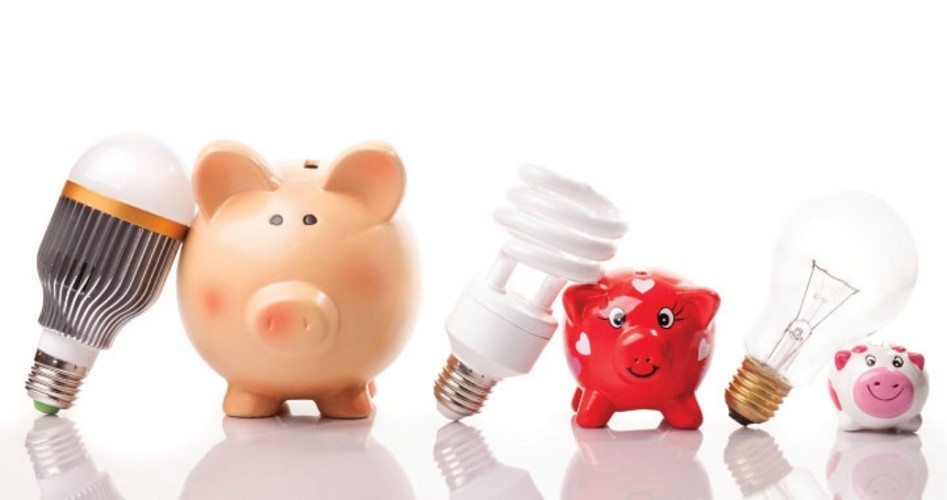 Shedding Light on the Global Green Agenda