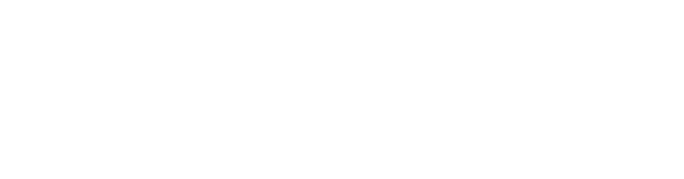 The New American
